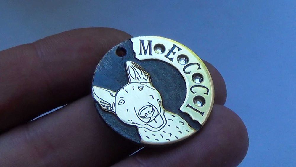 Діє АКЦІЯ! Адресник, жетон, для собак і котів. Висока якість!