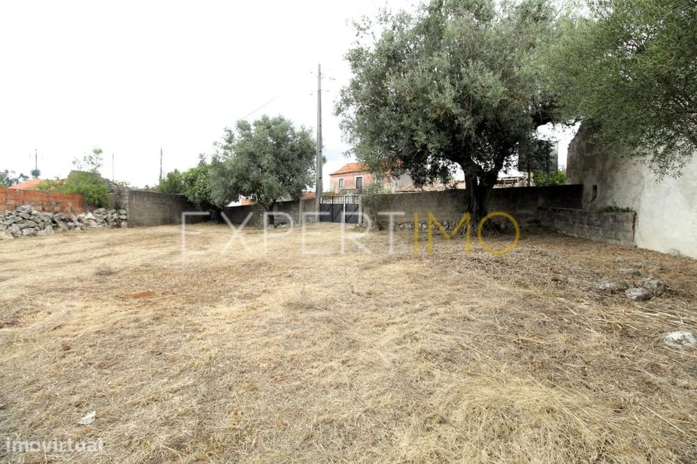 Terreno || 1381m2 || Viabilidade de Construção