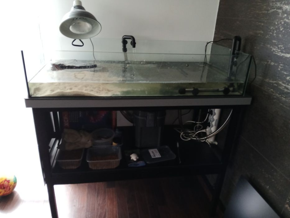 Zestaw  / akwarium wraz ze stołem i wszystkimi dodatkami