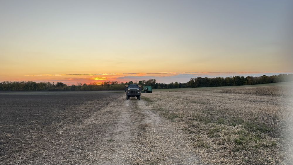 Насіння сої Гмо  100 днів