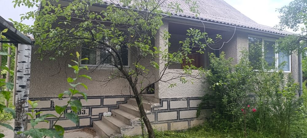 Продам будинок в Великому Бичкові