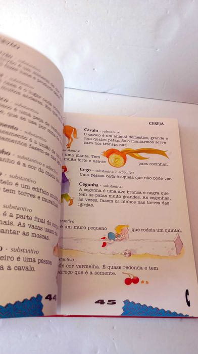 O Meu primeiro Dicionário Everest