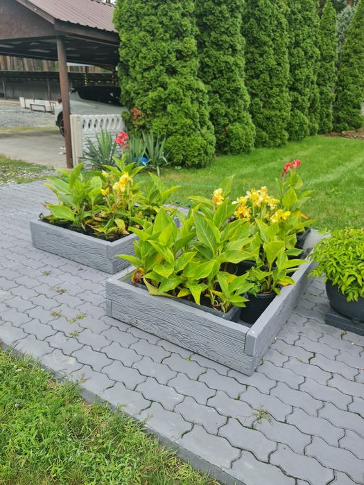 ABS Formy do kwietników