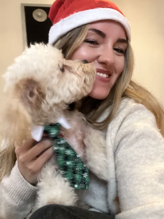 Pet Sitter e Dog Walker/Estadias para cães [Lisboa]