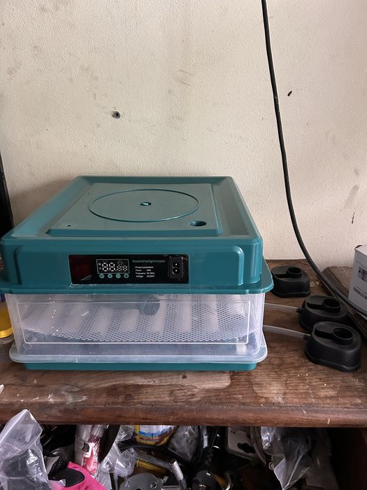 Maternidade para qualquer tipo de ovo