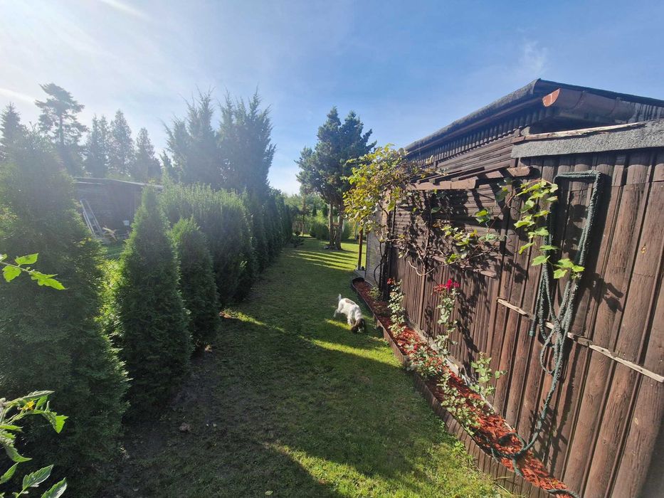 Działka ROD 300 m² Warszawa Białołęka – ROD LAS | piękny ogród + domek - Widok 2