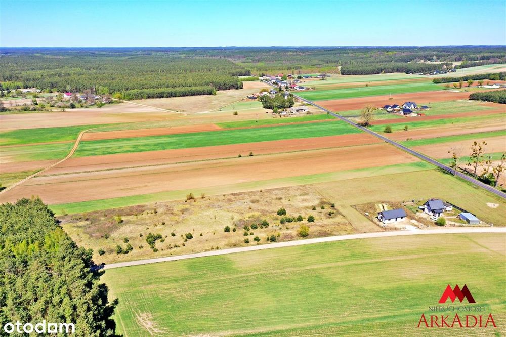 5 działek /Winduga/Gm. Bobrowniki /WZ