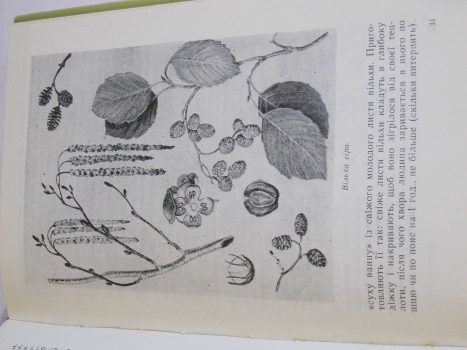 В.Комендар Лікарські рослини Карпат