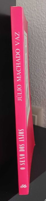 O sexo dos Anjos, de Júlio Machado Vaz