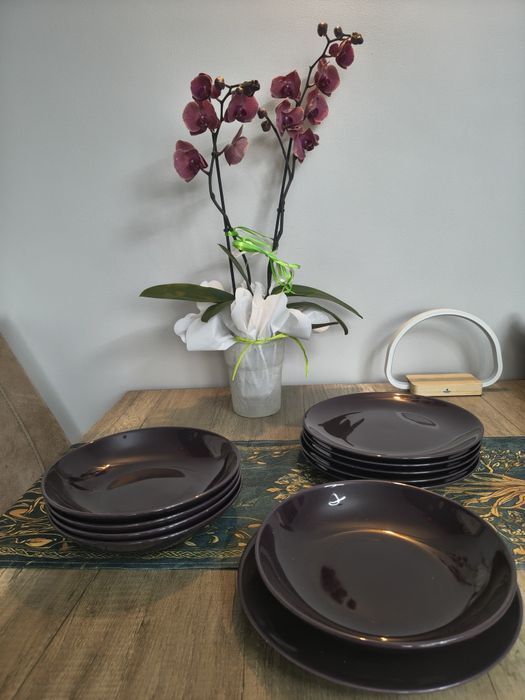 Zestaw talerzy obiadowych fioletowych