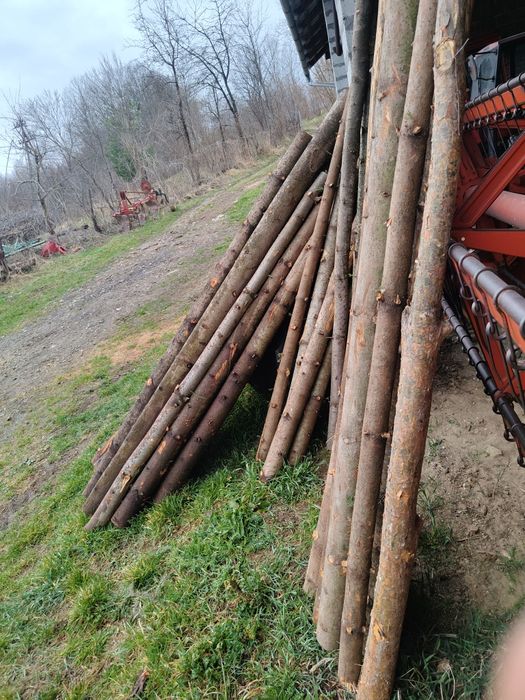 Stempele budowlane drewniane