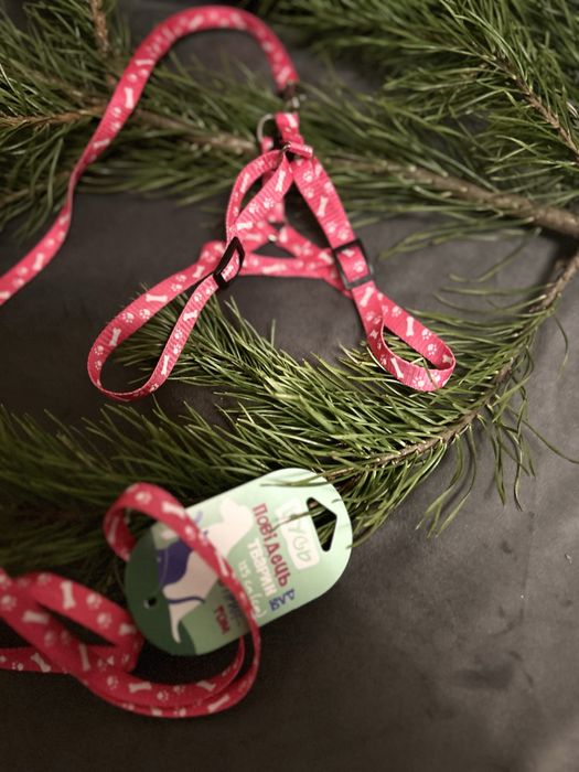 Продам повідок для котика, собачки