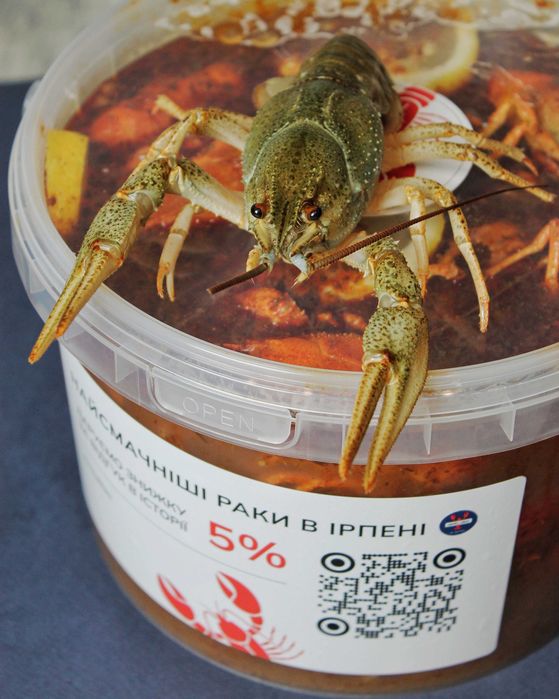 Раки живі. Раки варені. Ірпінь/Буча/Гостомель