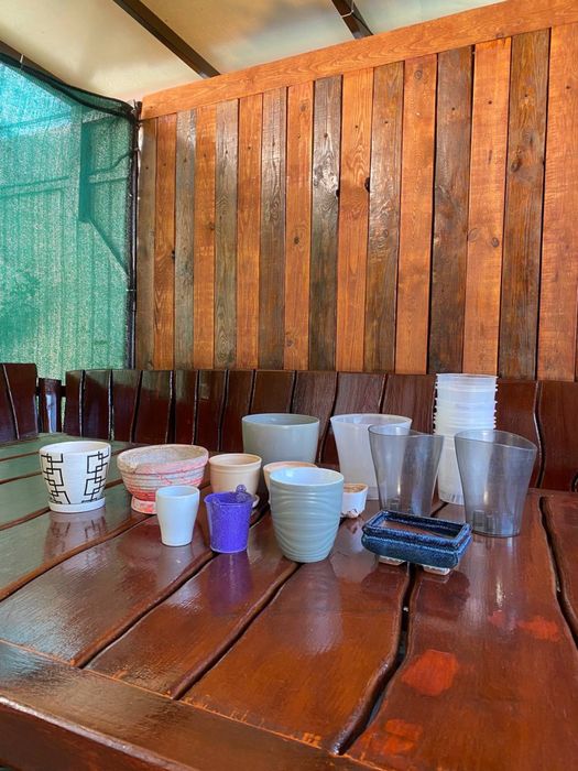 Вазоны для бонсайя, орхидей, керамические вазоны горшки горшок