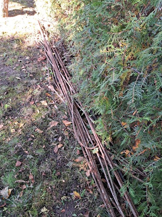 Pręt stalowy żebrowany fi 10 mm długość max 10 m