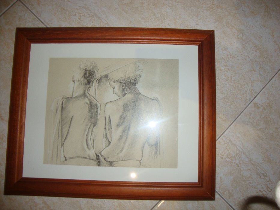 quadro64862722701570121