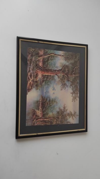 Картина в рамці друкована 25,5*20.5 см