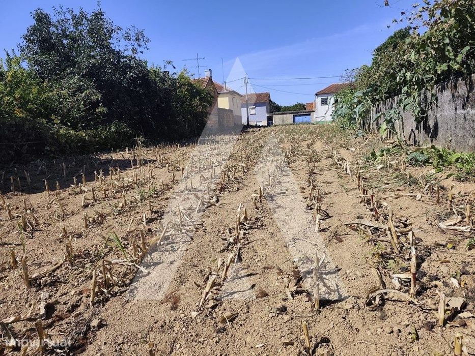 Terreno para construção de moradia em Águeda