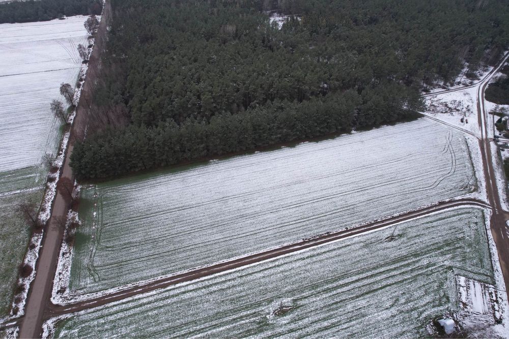 Działka budowlana z prywatnym lasem 3850 m² - Widok 3