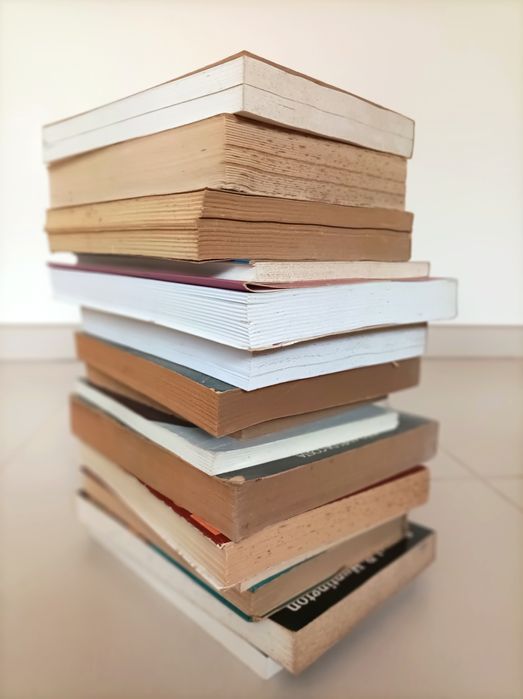 Lote de Livros Controversos - Religião / História