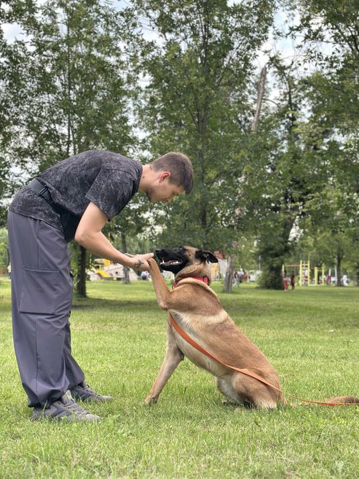 Цуцянята Малінуа