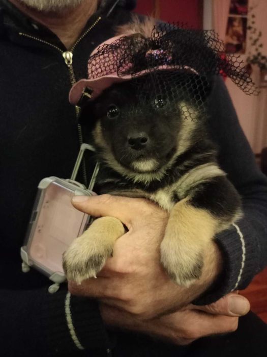 Юна леді готова до переїзду