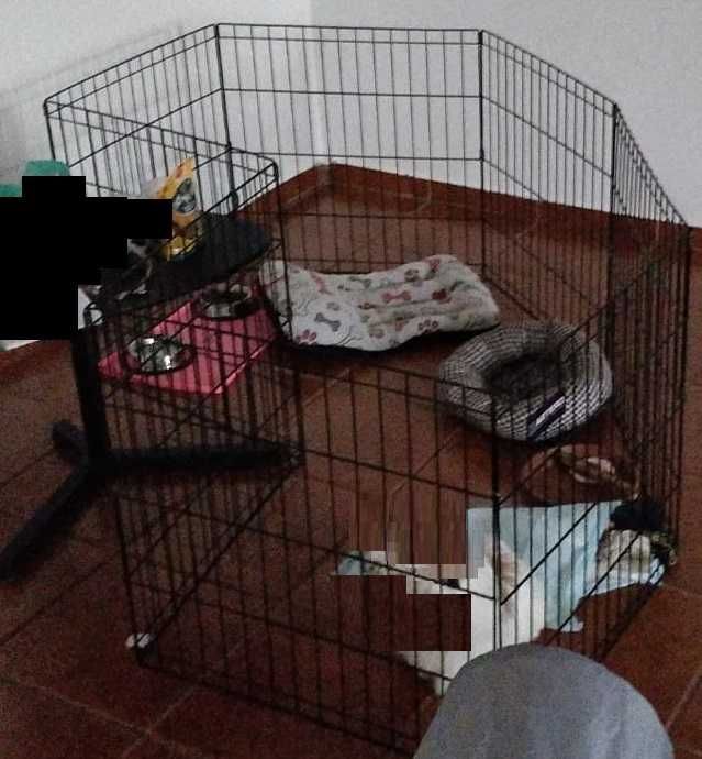 Vedação para Cão (Jaula Metalica)