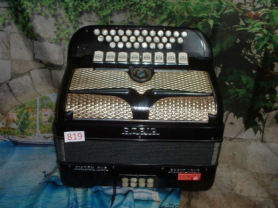 Concertinas a venda N.819