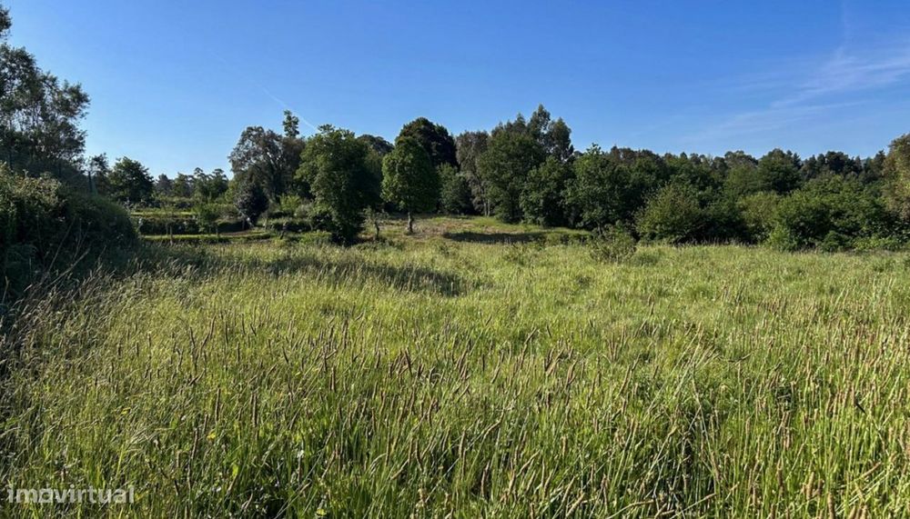 Venda de Terreno, Montaria, Viana do Castelo