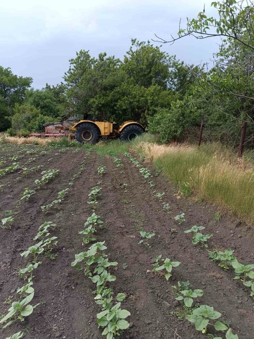 Продам трактор К 700 Кіровець