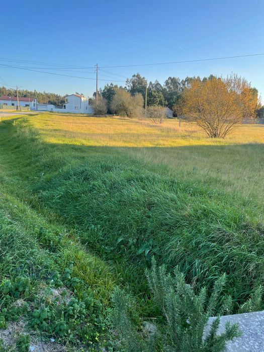 Terreno com viabilidade de construção