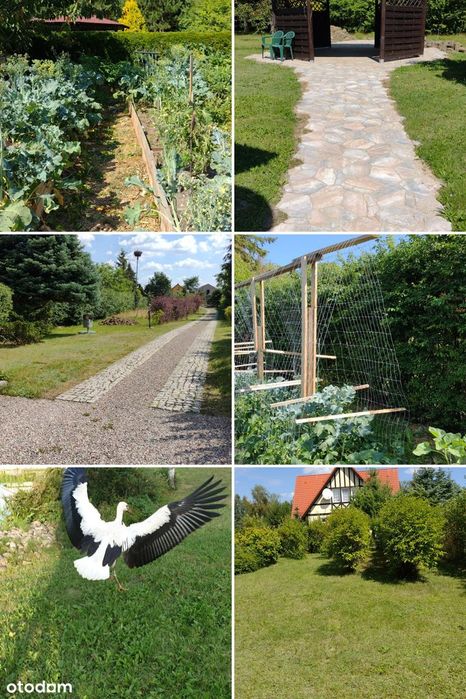 Wyjątkowa Osada Rodzinna, Kaszuby, 3 Domy, Drewniany Dom Biesiadny