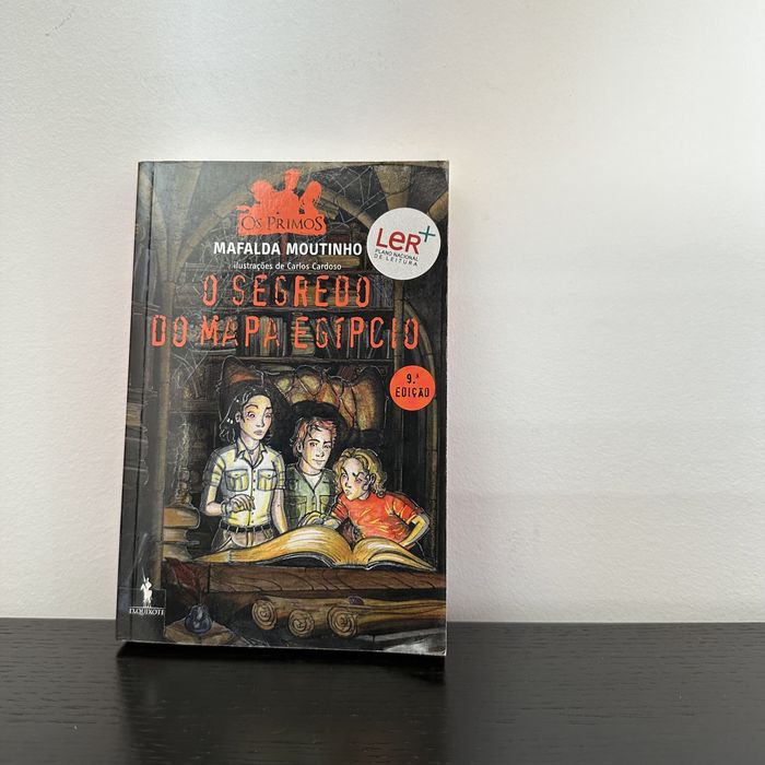 O segredo do mapa egípcio