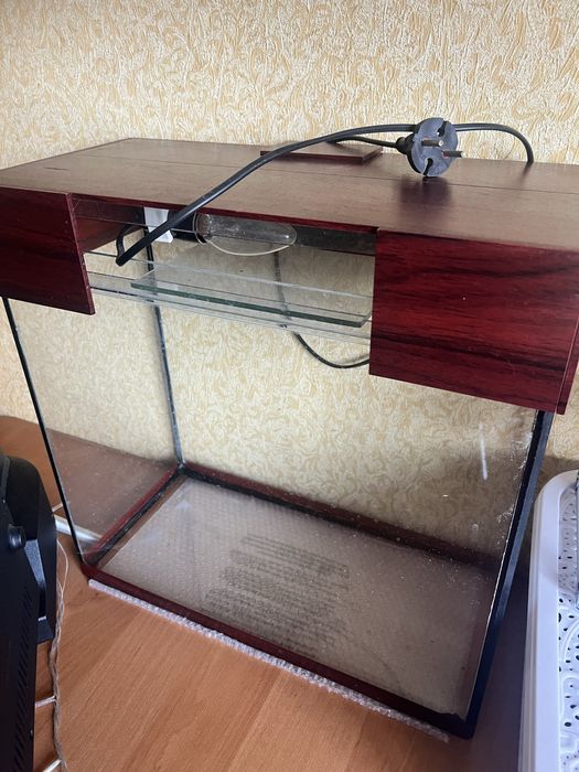 Акваріум з освітленням