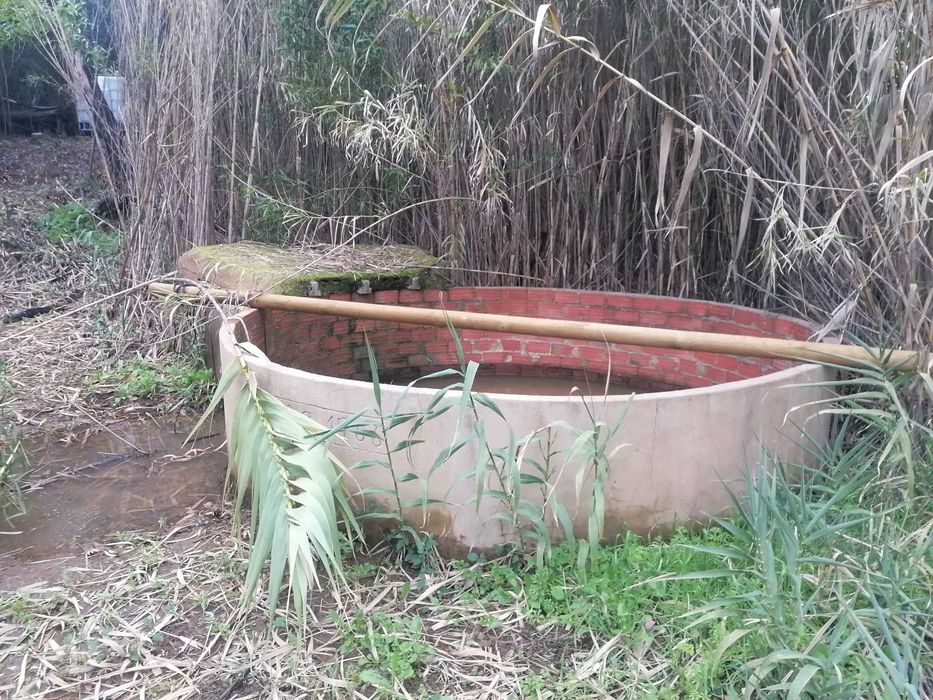 Terreno 12ha misto com possibilidade de turismo rural Bensafrim