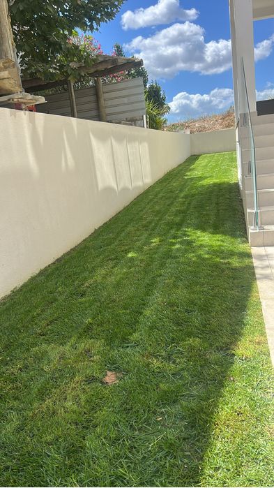 Limpeza de terrenos e jardins e póda de sebs . Orçamento gratuito