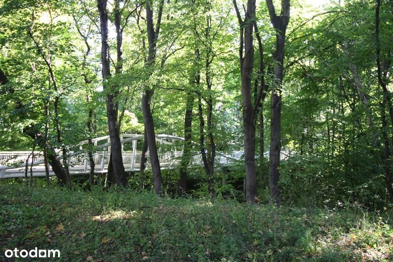 Dom – Gdynia - Widok 4
