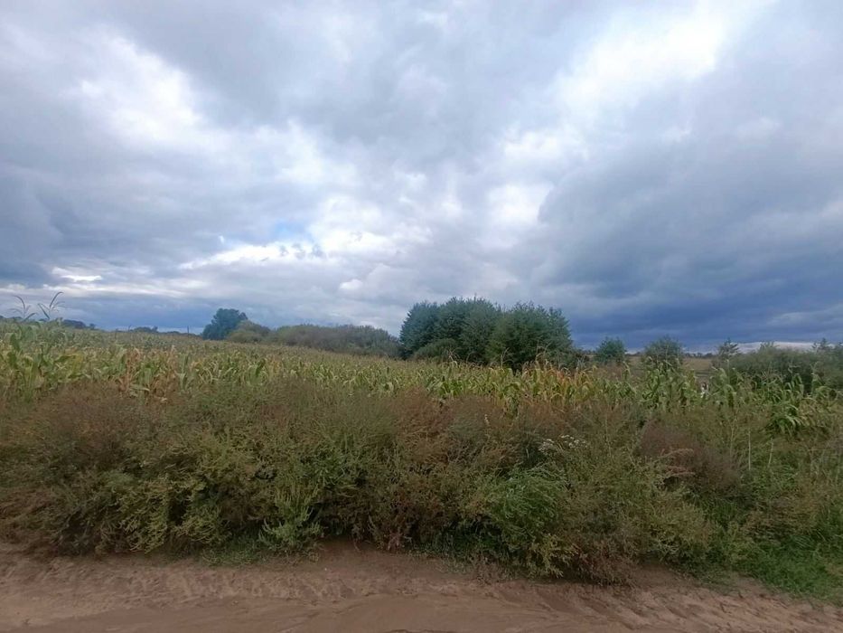 Продаж земельної ділянки, 2 га, с. Якушинці