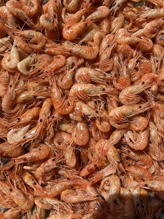 Рачки черноморские продам
