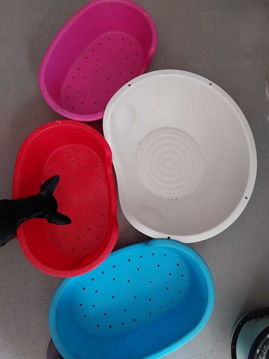 Camas para animais- usadas