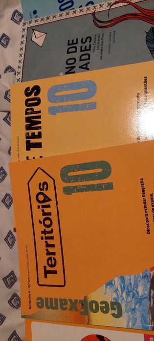 Livros atividades 10.Ano