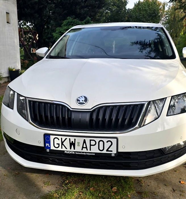 Skoda Octavia Drugi właściciel, samochód cały czas serwisowany, godny polecenia.