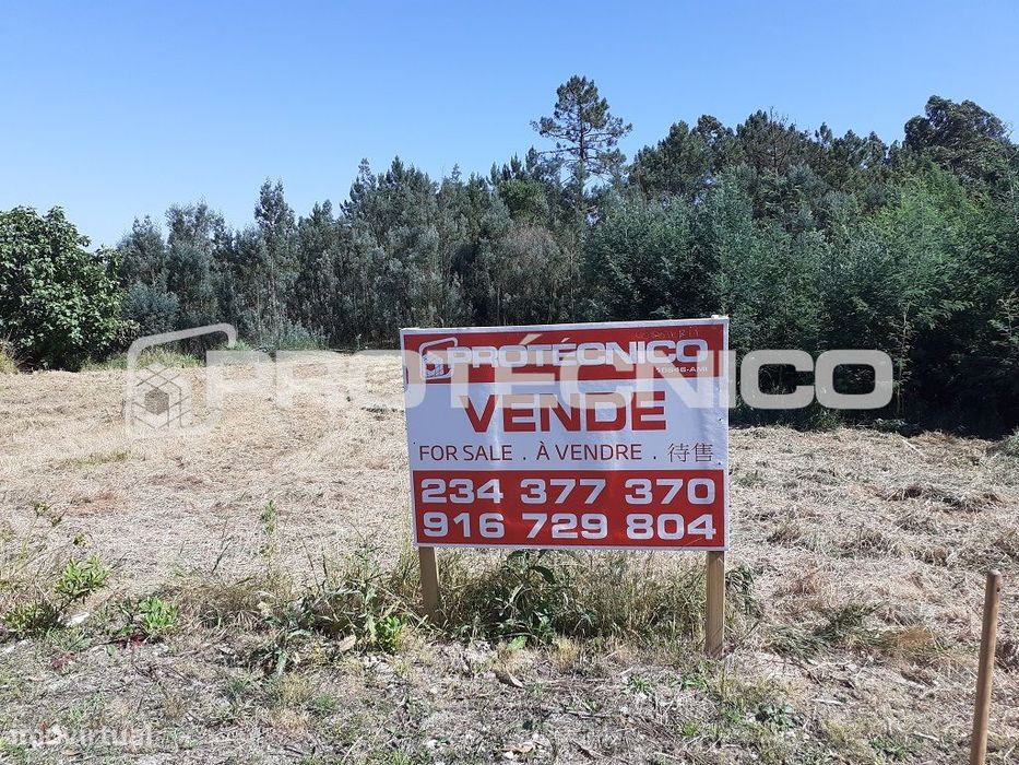 Terreno c/ 7.300m2 – Azenhas de Baixo