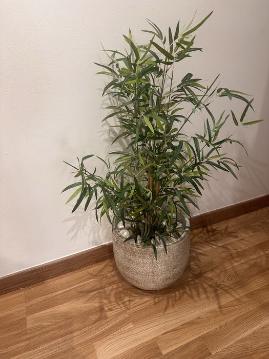 Vaso com coqueiro medio