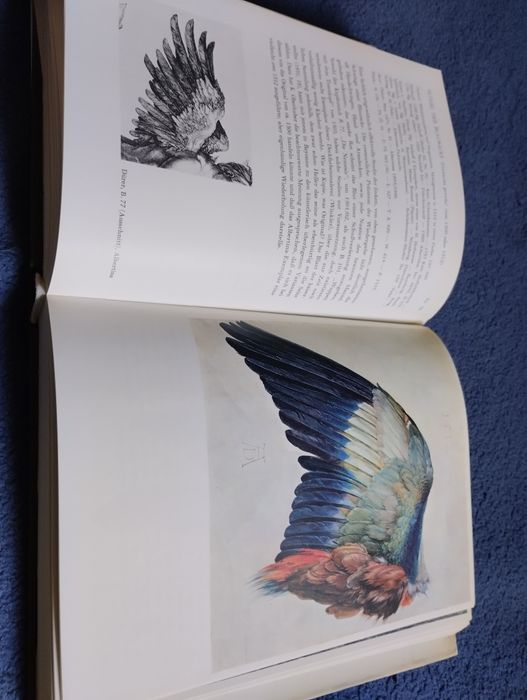 Die Dürer Zeichnungen der Albertina. Walther Koschatzky, Alice Strobl