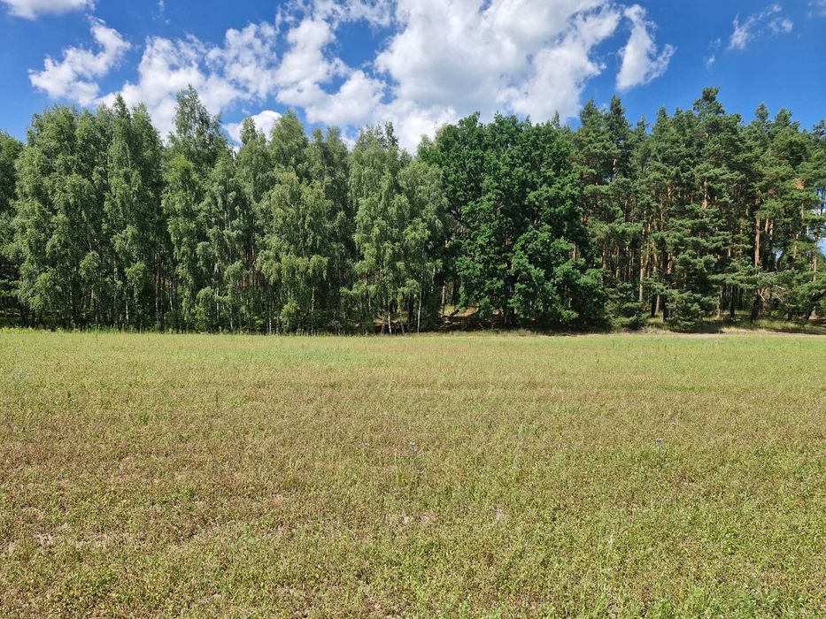 Grunt rolny 3,09 ha Mąkoszyn, gm. Szubin