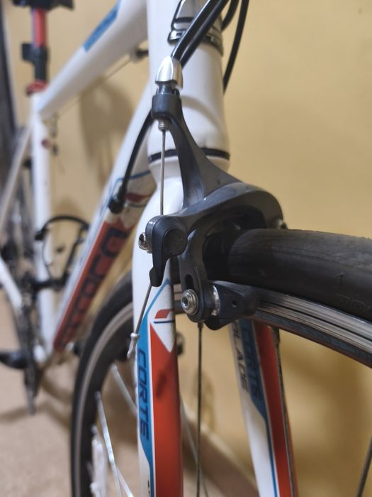 Rower szosowy Carrera Karkinos Wygodna szosówka  Klamkomanetki Shimano