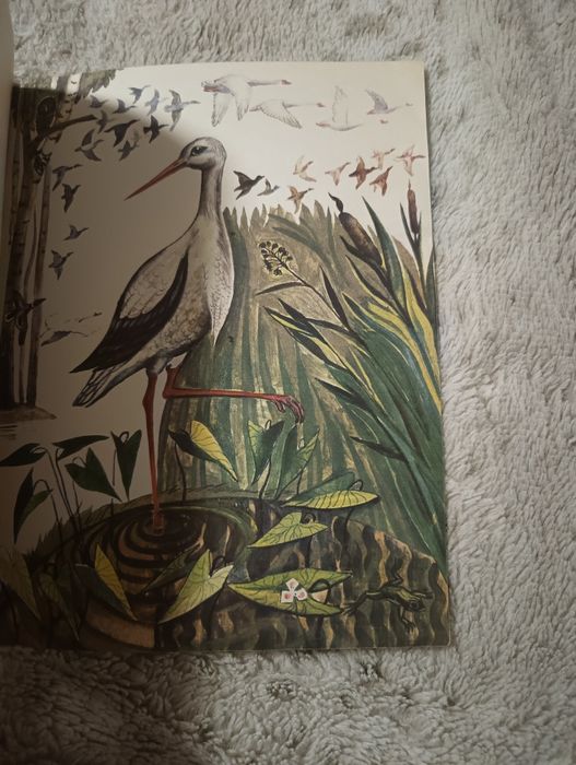 Nad ojczystą rzeką