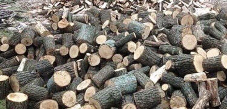 Дрова акация, дуб.