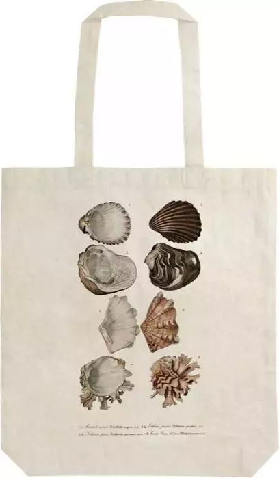 Torba bawełniana STBAG 51 Muszle Szoperka na ramię. Skona Ting. Nowy Produkt